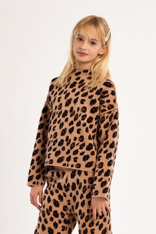 Pull en maille, imprimé animalier