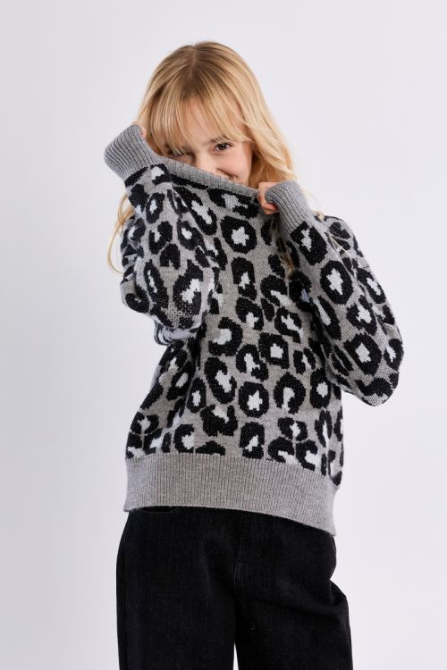Pull en maille, imprimé léopard