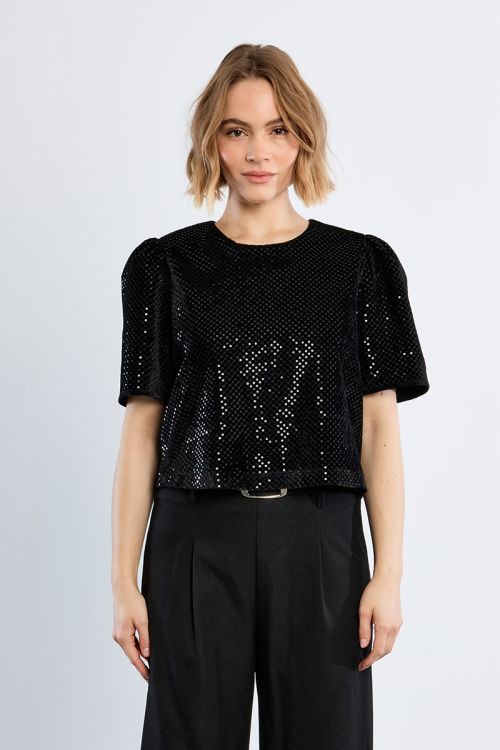 Sequined velvet top