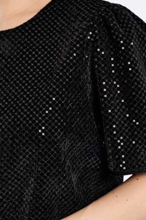 Sequined velvet top