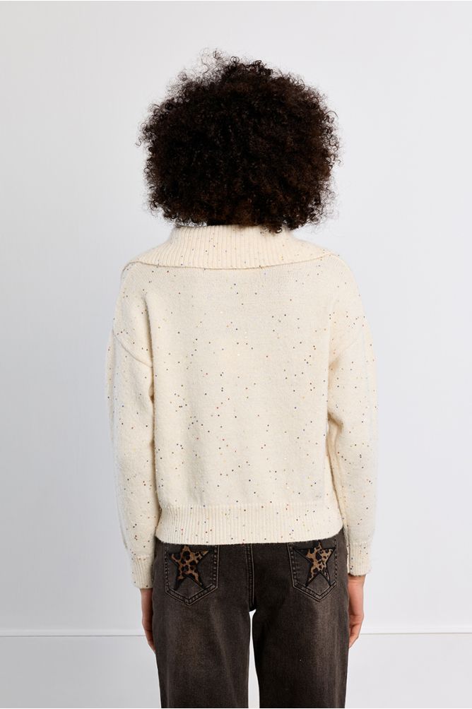 Trucker collar sweater with sequins