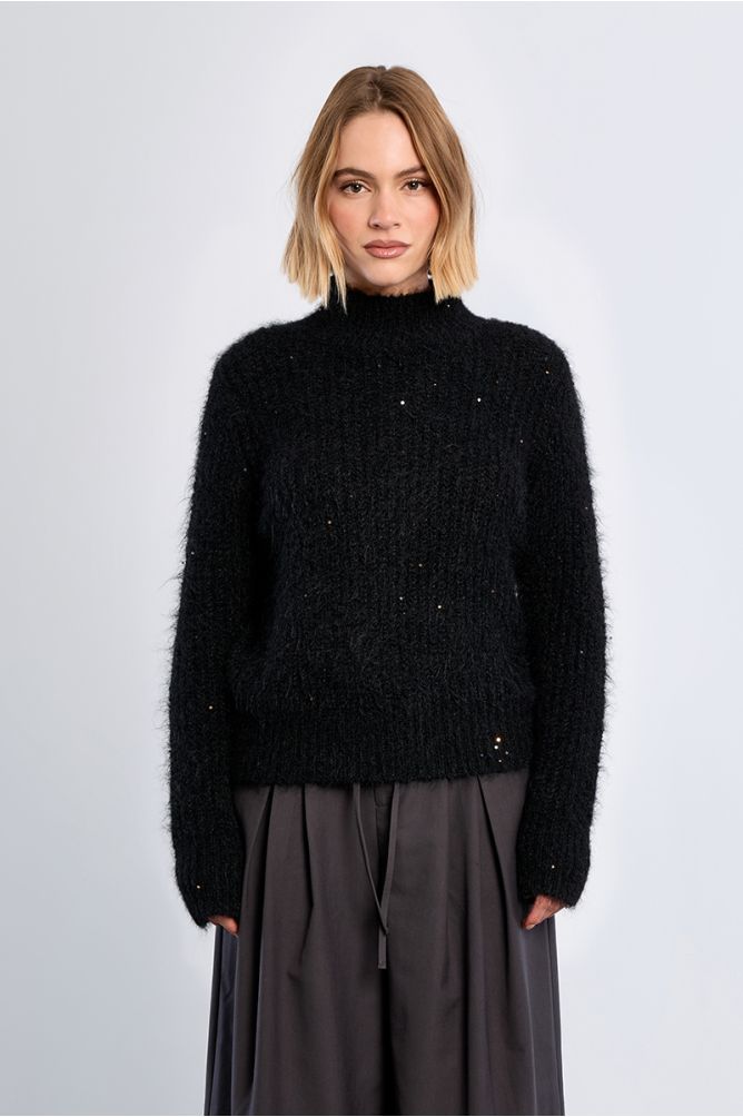 Turtleneck sweater, sequined