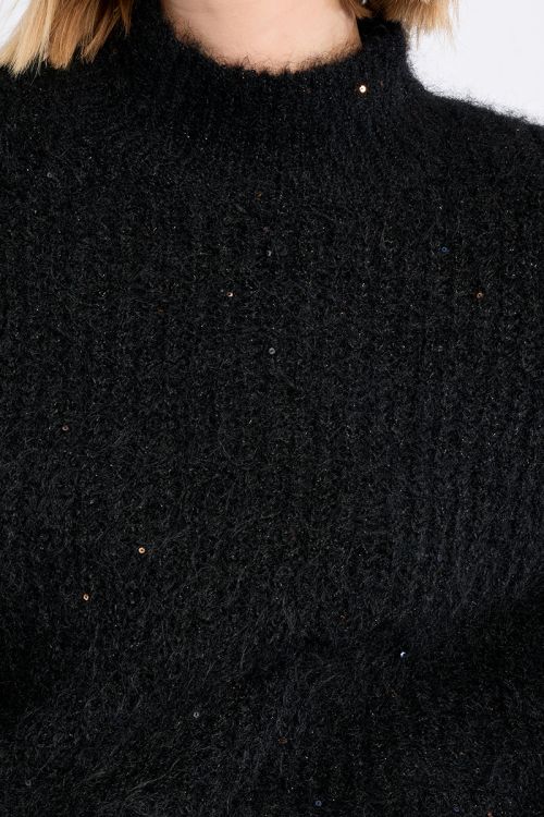 Turtleneck sweater, sequined