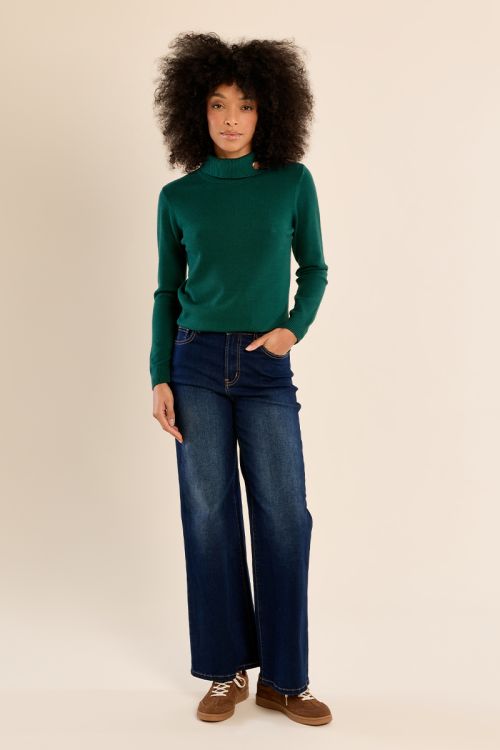 Pull en maille fine, col roulé