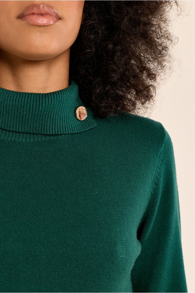 Pull en maille fine, col roulé