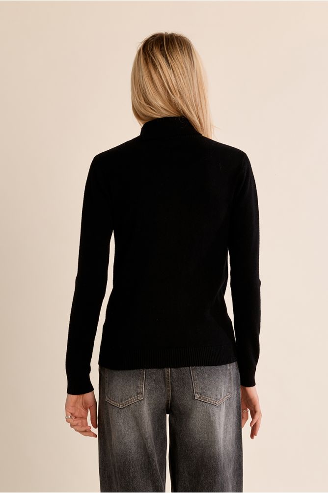 Pull en maille fine, col roulé