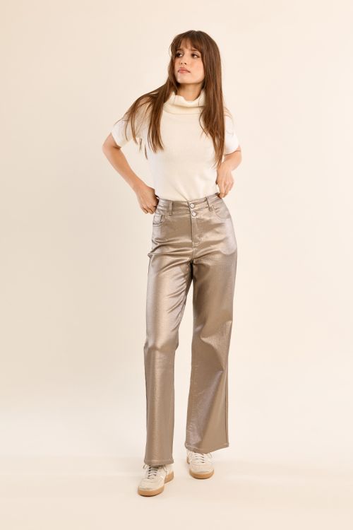 Coated pants, high waist